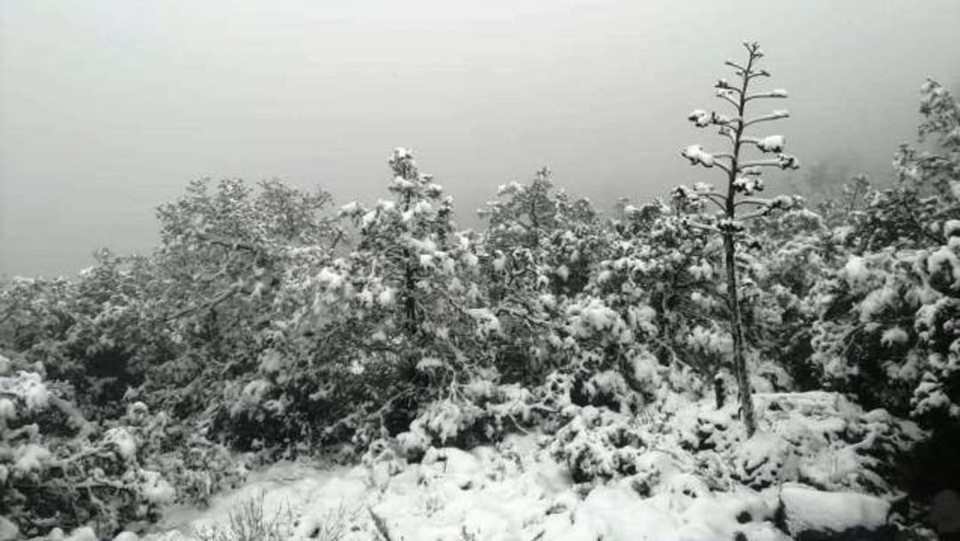 FOTO:Las primeras nevadas de la temporada en Zacatecas