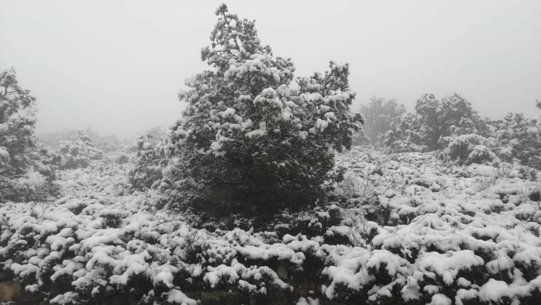 Primeras nevadas de la temporada en Zacatecas