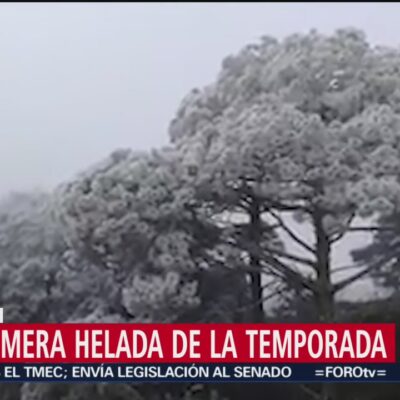 Querétaro registra las primeras heladas de la temporada