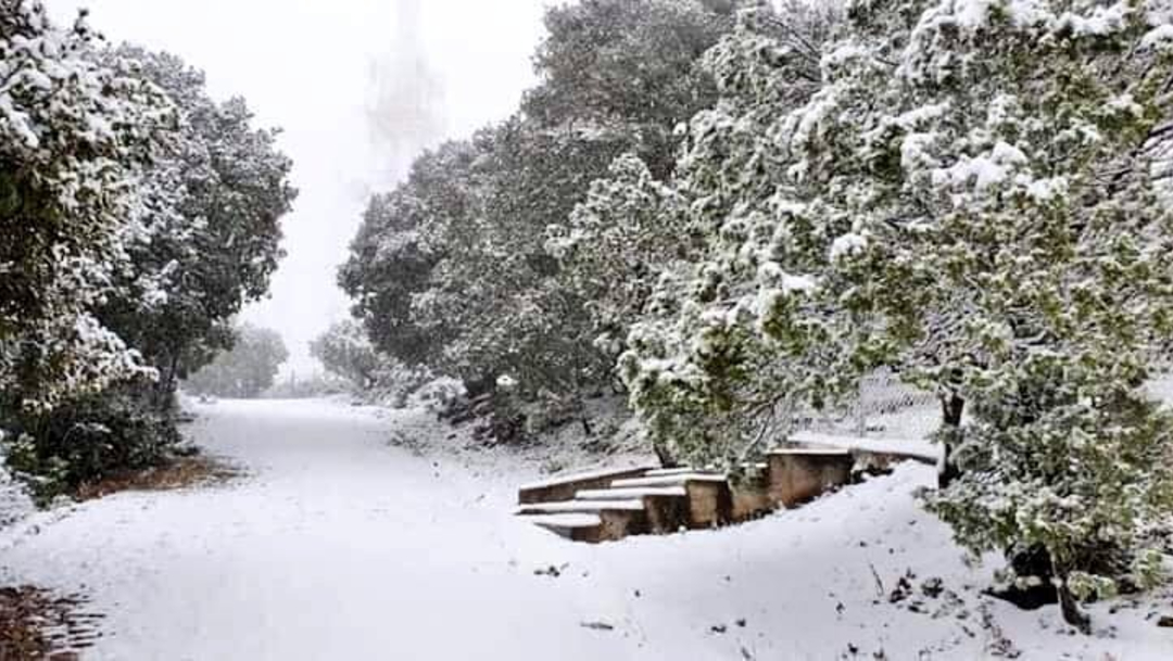 Primeras nevadas de la temporada en Zacatecas