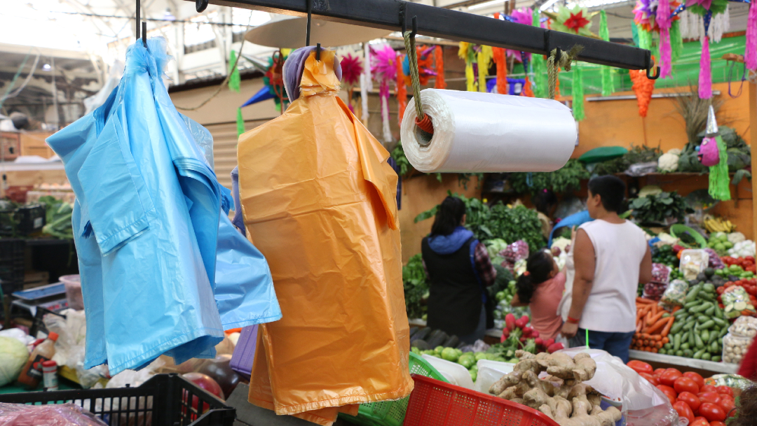 Foto: Prohibición de bolsas de plástico ha beneficiado a comerciantes, 09 de enero de 2020, (Cuartoscuro, archivo)