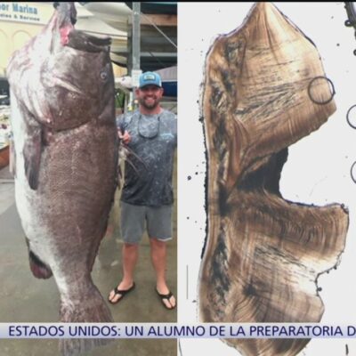 Atrapan pez de 160 kilos y 50 años de vida en Florida