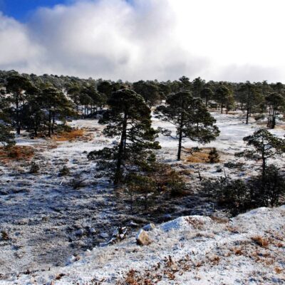 La Rosilla en Durango registra temperatura de -16 grados