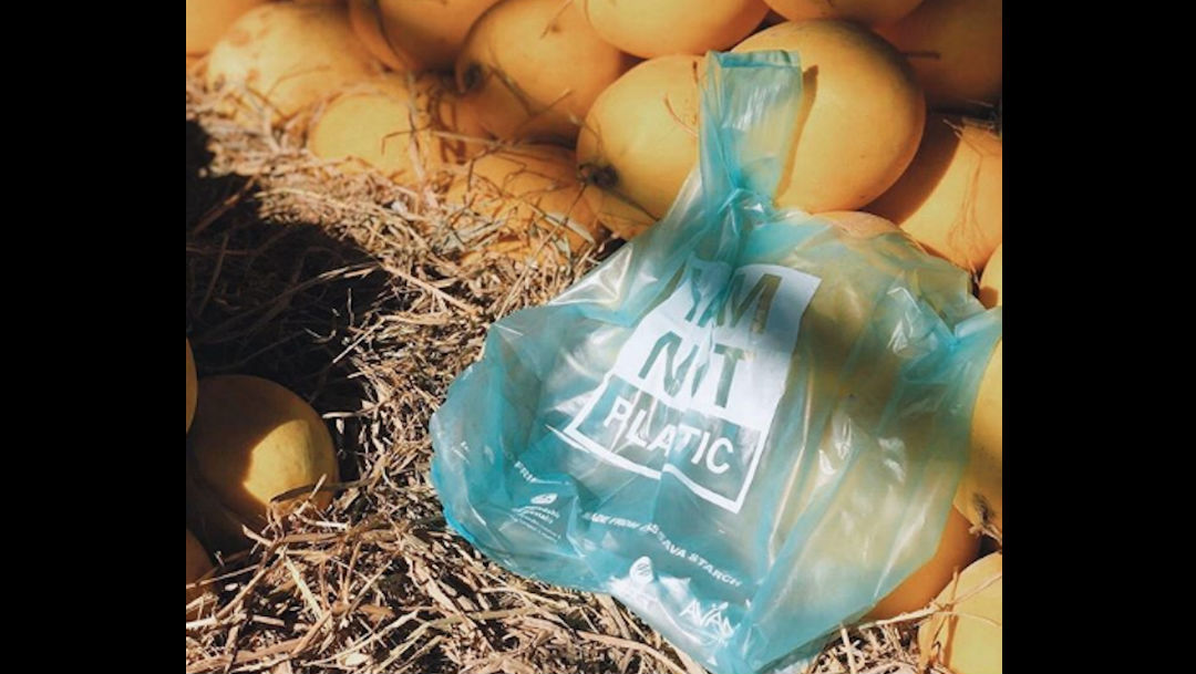 Foto Crean bolsas que se convierten en comida para peces al caer al mar 15 enero 2020