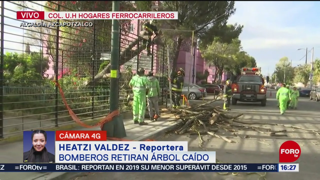 FOTO: 2 enero 2020, bomberos retiran arbol caido en azcapotzalco