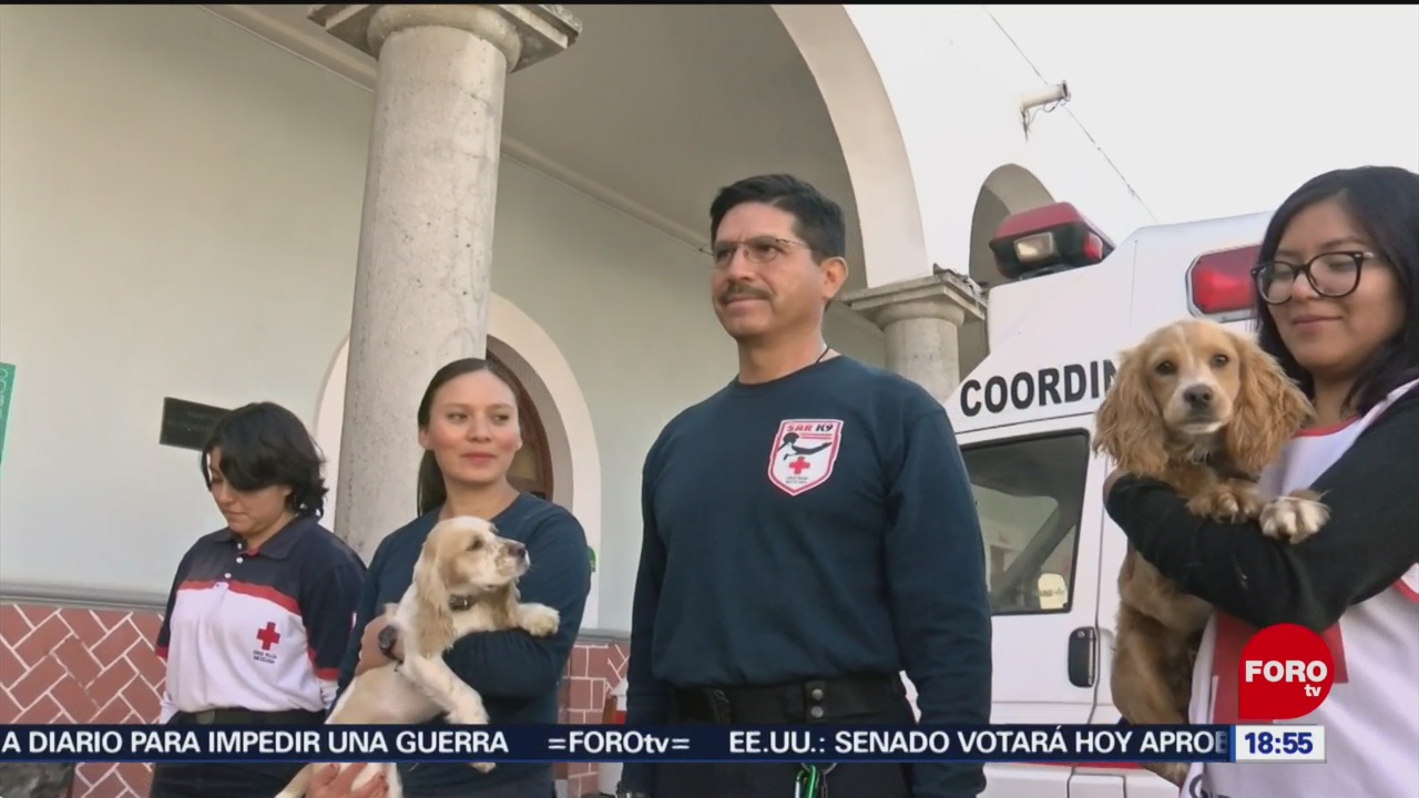 FOTO: cruz roja realiza cursos de entrenamiento para perros rescatistas voluntarios