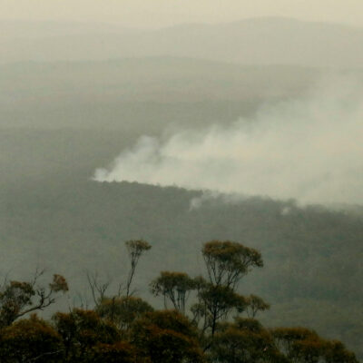 Policía de Australia detiene a 24 personas acusadas de provocar diversos incendios forestales