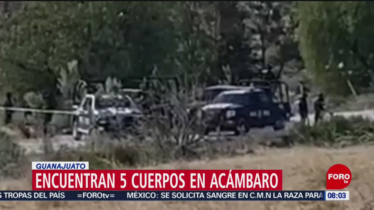 FOTO: 12 enero 2020, encuentran 5 cuerpos en acambaro guanajuato