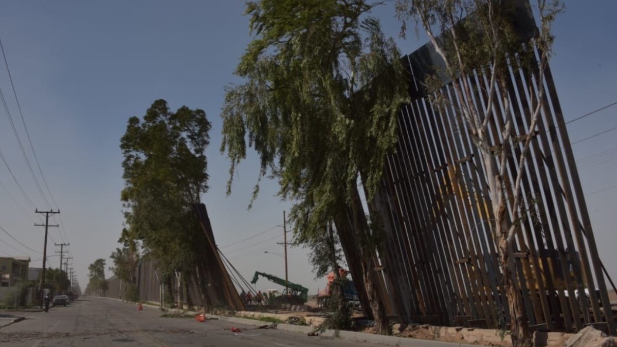 Fotos La valla fronteriza cayó en la zona que divide a Caléxico y Mexicali.