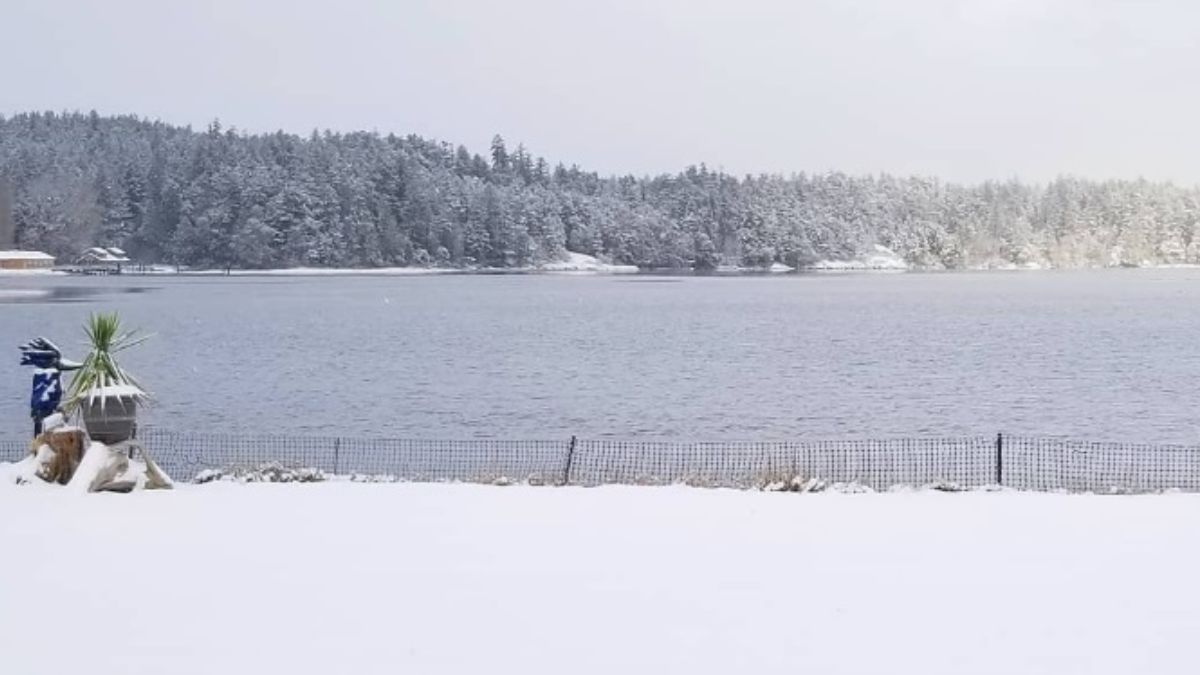 Foto: La nieve cubre la región de Saskatchewan, Canadá. Instagram
