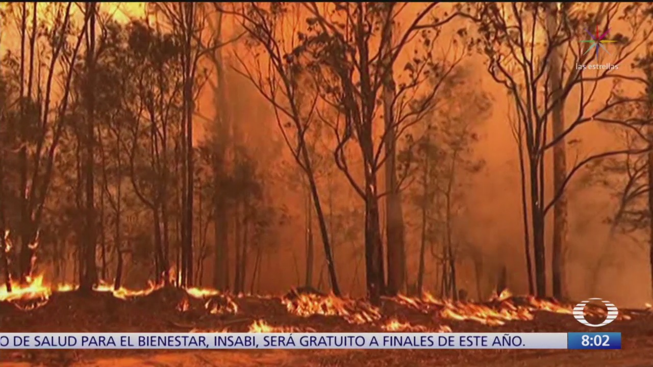impacto de los incendios en australia y amazonia