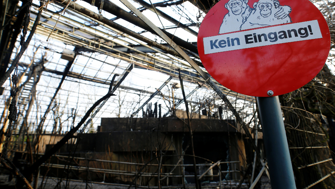 FOTO Incendio mata a 30 animales en zoológico de Alemania (Reuters)