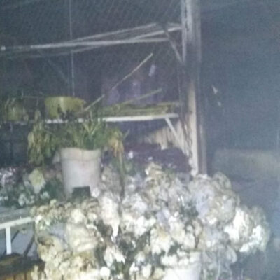 Incendio consume el Mercado de las Flores en Xochimilco