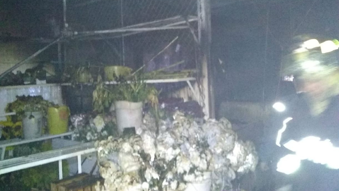 Doce locales del Mercado de las Flores de Xochimilco fueron consumidos por el fuego, 19 enero 2020
