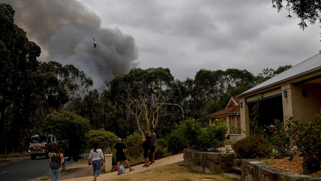 fOTO: Leve mejora en clima atenúa incendios en Australia, 5 enero 2020