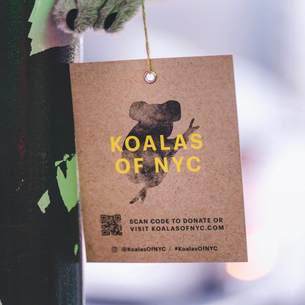 En Nueva York, koalas de peluche buscan ayudar a Australia