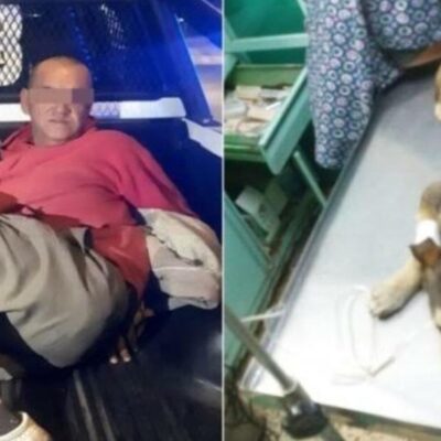 Muere Mati, la perrita que fue violada por un hombre en Nezahualcóyotl