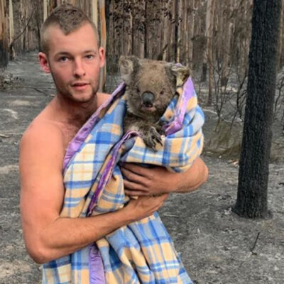 Cazador rescata koalas en Australia y se vuelve viral