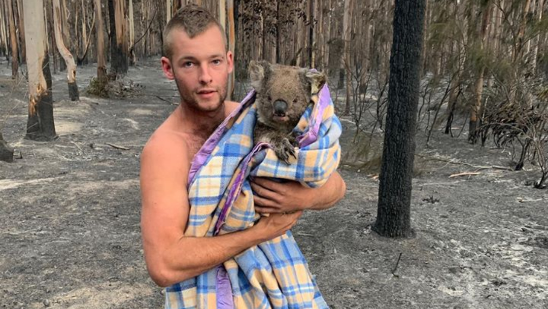 Cazador rescata koalas en Australia y se vuelve viral