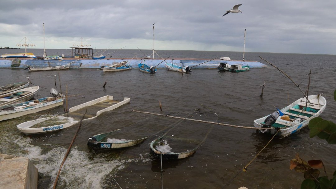 Imagen: Los puertos de los recintos pesqueros de Isla Aguada, Palizada, Nuevo Campechito, Sabancuy, Atasta, Champotón, Campeche y Seybaplaya, fueron cerrados