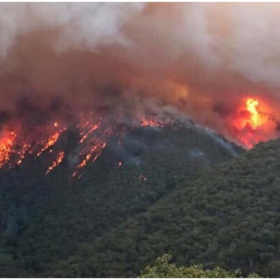 Pink donará 500 mil dólares para ayudar a combatir los incendios en Australia