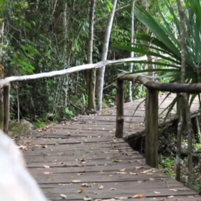 Promueven turismo respetuoso con el medio ambiente en Quintana Roo