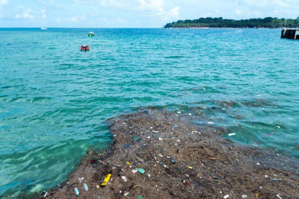 Foto Playa en Sinaloa concentra la mayor cantidad de microplásticos del país, 09 de enero de 2020, (EcologíaVerde.com)