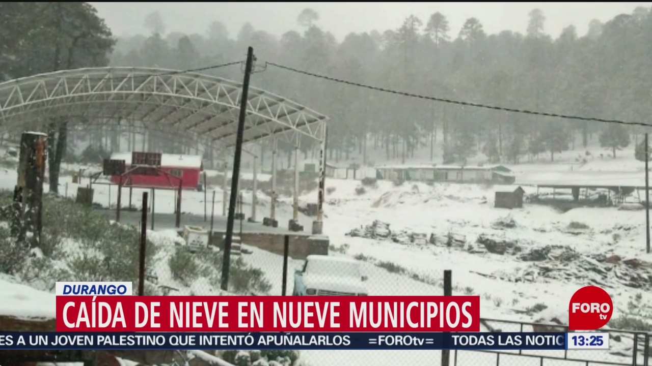 FOTO: se registran nevadas en municipios de durango