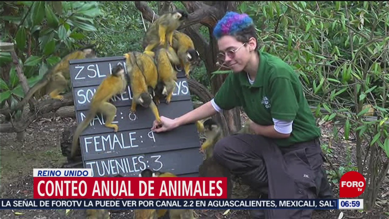 Foto: zoologico de londres inicia inventario anual de animales