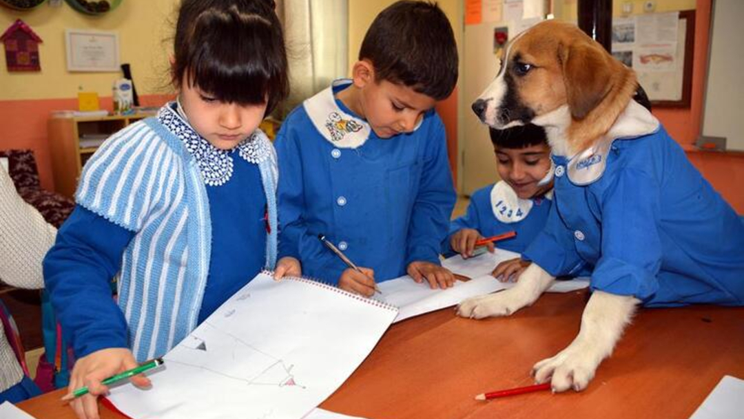 Foto: Los alumnos han mostrado gran interés en jugar y cuidar del perrito desde el primer día, 21 de febrero de 2020, (Hurriyet Daily News) 