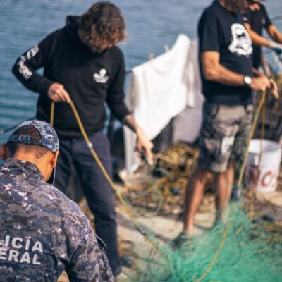 Atacan a activistas que luchan para proteger a la vaquita marina