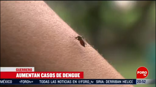 Foto: Aumentan Casos Dengue Guerrero 14 Febrero 2020