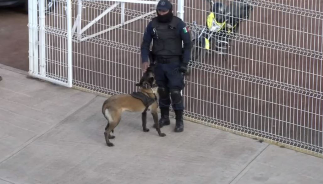 Binomios caninos revisan mochilas de alumnos en Zacatlán, Puebla