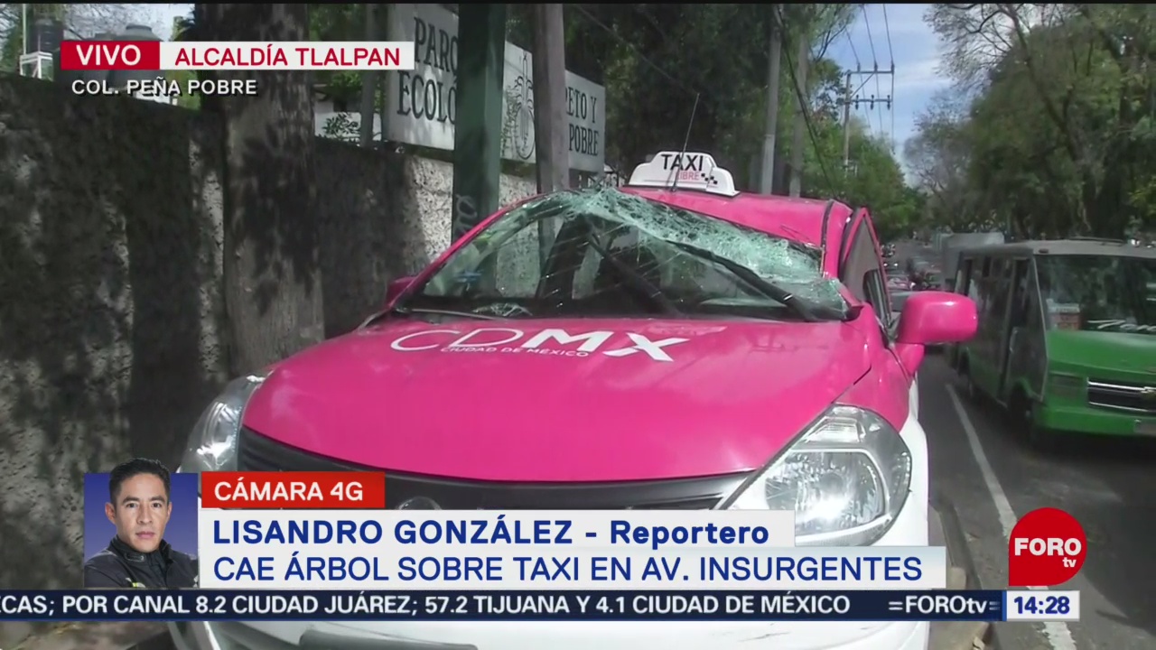 FOTO: 3 Febrero 2020, cae arbol sobre taxi en avenida insurgentes en cdmx