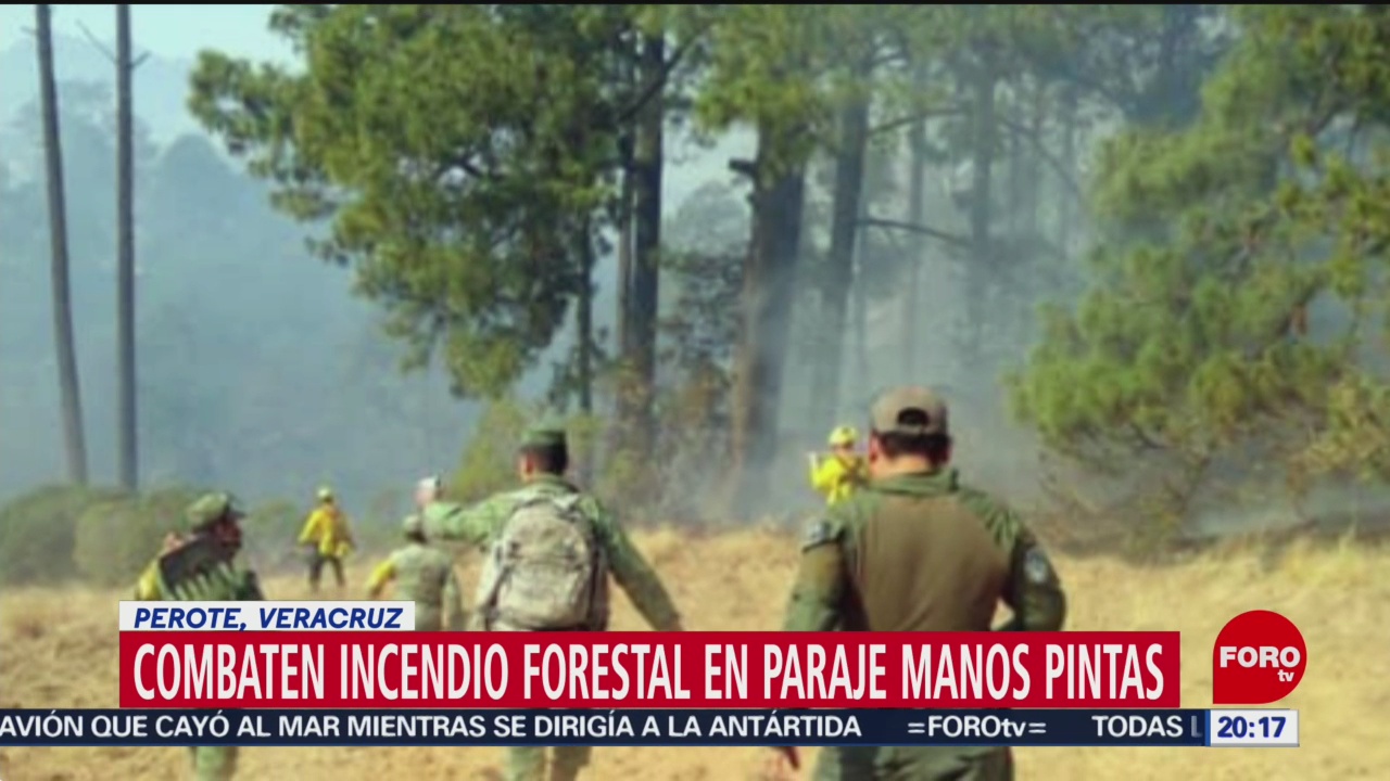 Foto: Combaten Incendio Forestal Perote Veracruz 8 Febrero 2020