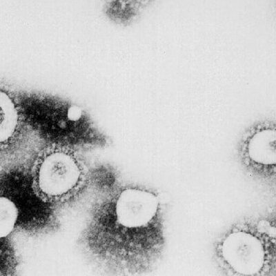 Coronavirus se propagará en Estados Unidos, admiten autoridades; piden prepararse