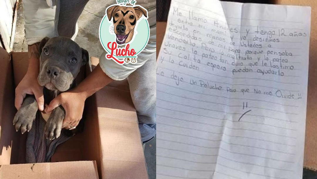 Foto Niño da en adopción a su perrito para evitar que su papá lo maltrate 18 febrero 2020