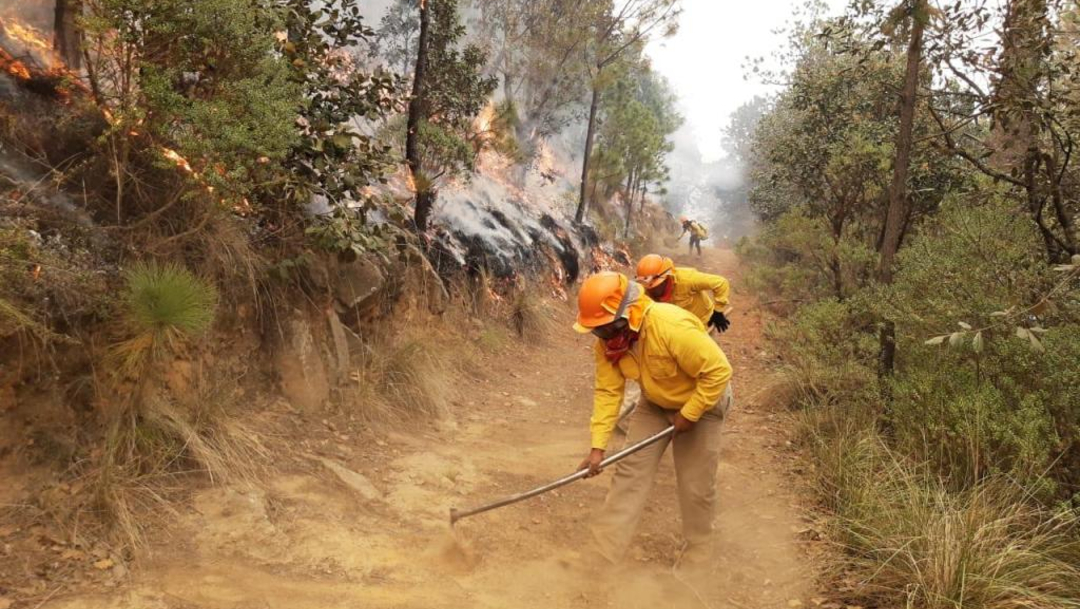 Foto: Controlan al 100 por ciento incendio en Cofre de Perote , 8 de febrero de 2020, (Twitter @el_xalapa)