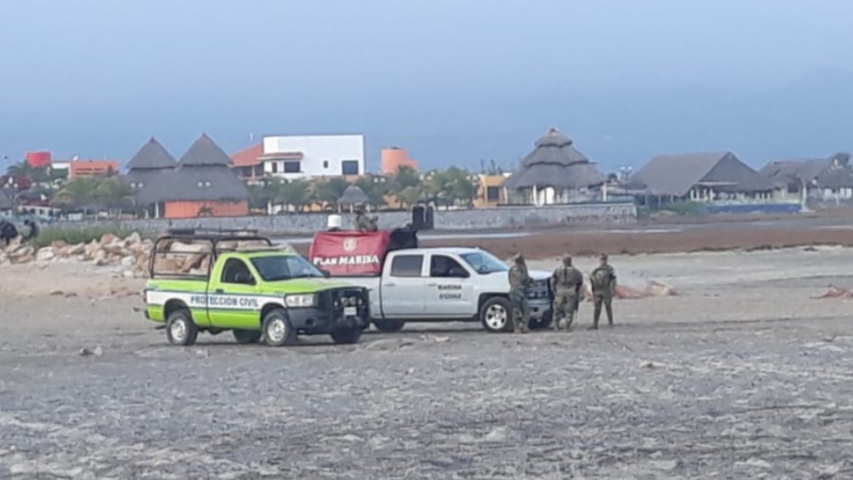 Foto: Elementos de la Marina y Protección Civil de Oaxaca hallaron el cuerpo de Marcela. Twitter/