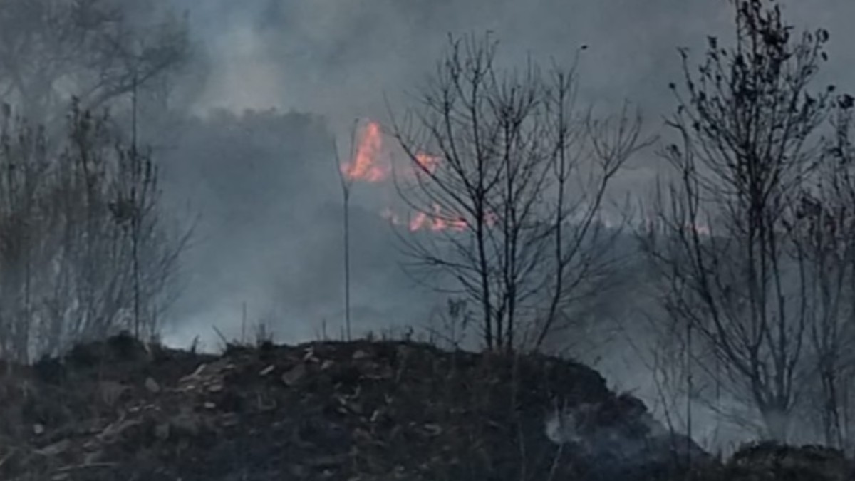 Foto: Incendio de pastizales en Lomas de Tarango.