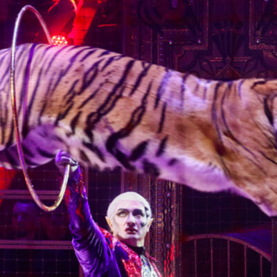 Morena con diferencias sobre regreso de animales a circos