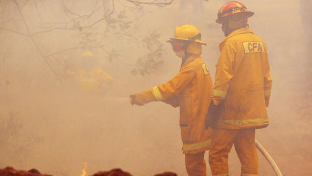 Foto: Australia contiene incendios forestales por primera vez desde septiembre 14 de febrero de 2020, (Getty images, archivo)