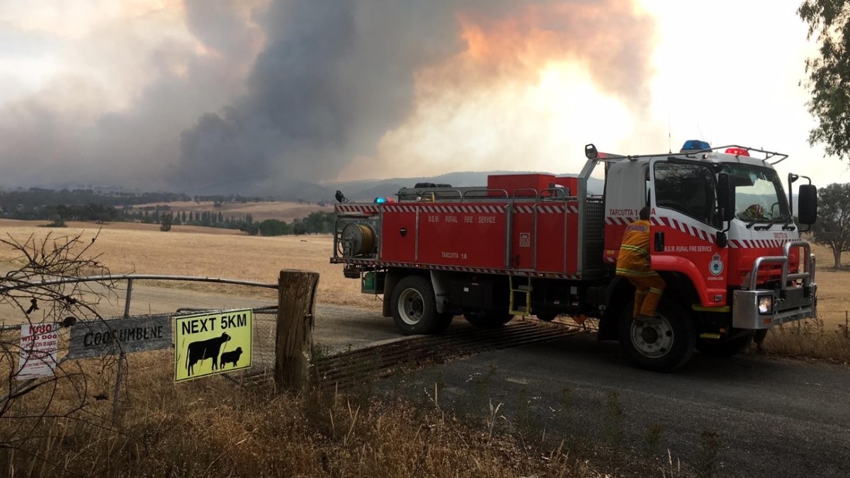Lluvia ayuda en combate de incendios forestale en Australia