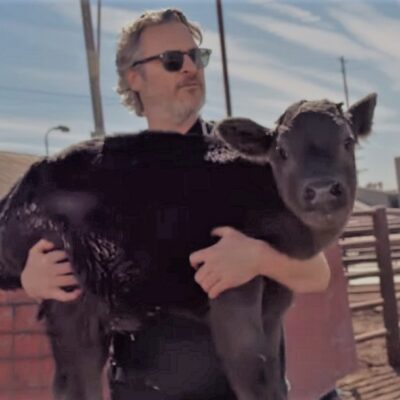 Video: Joaquin Phoenix rescata a una mamá vaca y su cría en un matadero de Los Ángeles