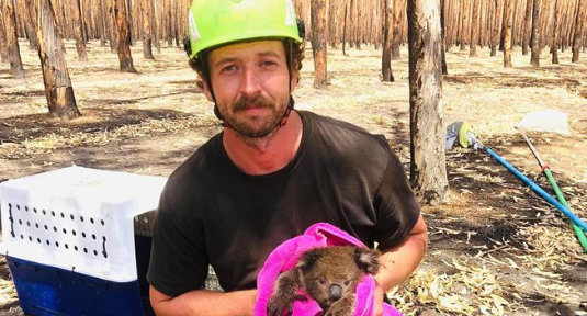 Foto: Kailas Wild, el escalador que rescata koalas en Australia