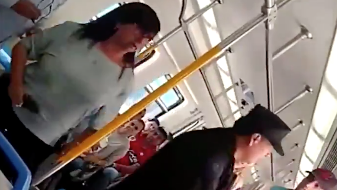 Foto Mujer en transporte público patea a perrita sin hogar; los pasajeros enfurecen 7 febrero 2020
