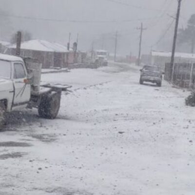 Se registra intensa nevada en zona serrana de Durango