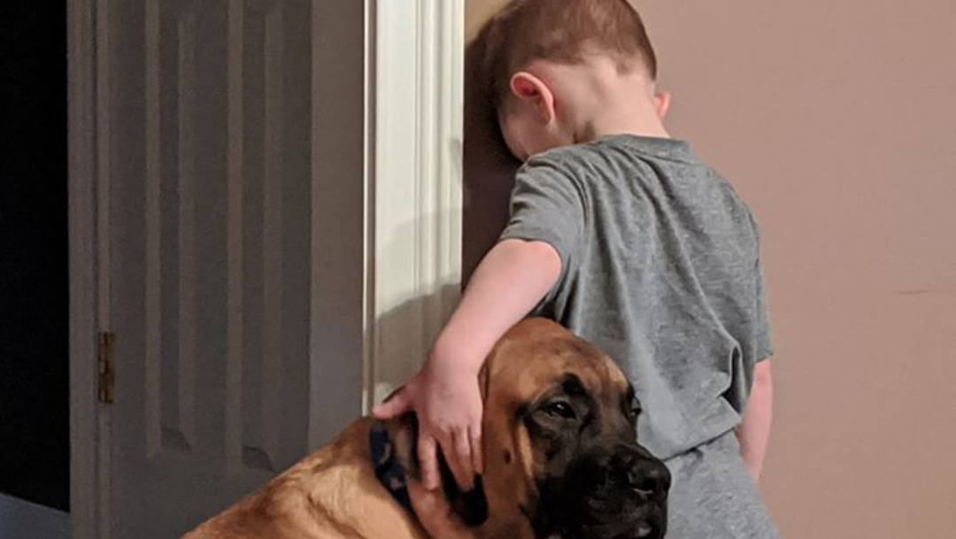 FOTO: Perro acompaña a niño en su castigo contra la pared, el 27 de febrero de 2020