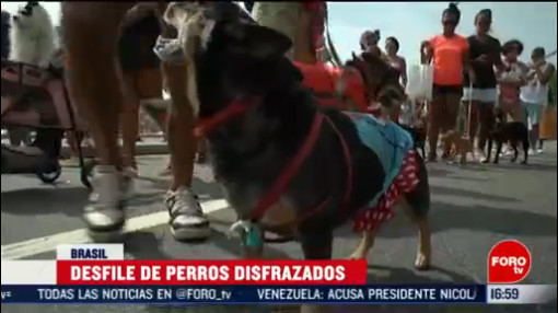 FOTO: 16 Febrero 2020, perros disfrazados participan en desfile en copacabana rio de janeiro