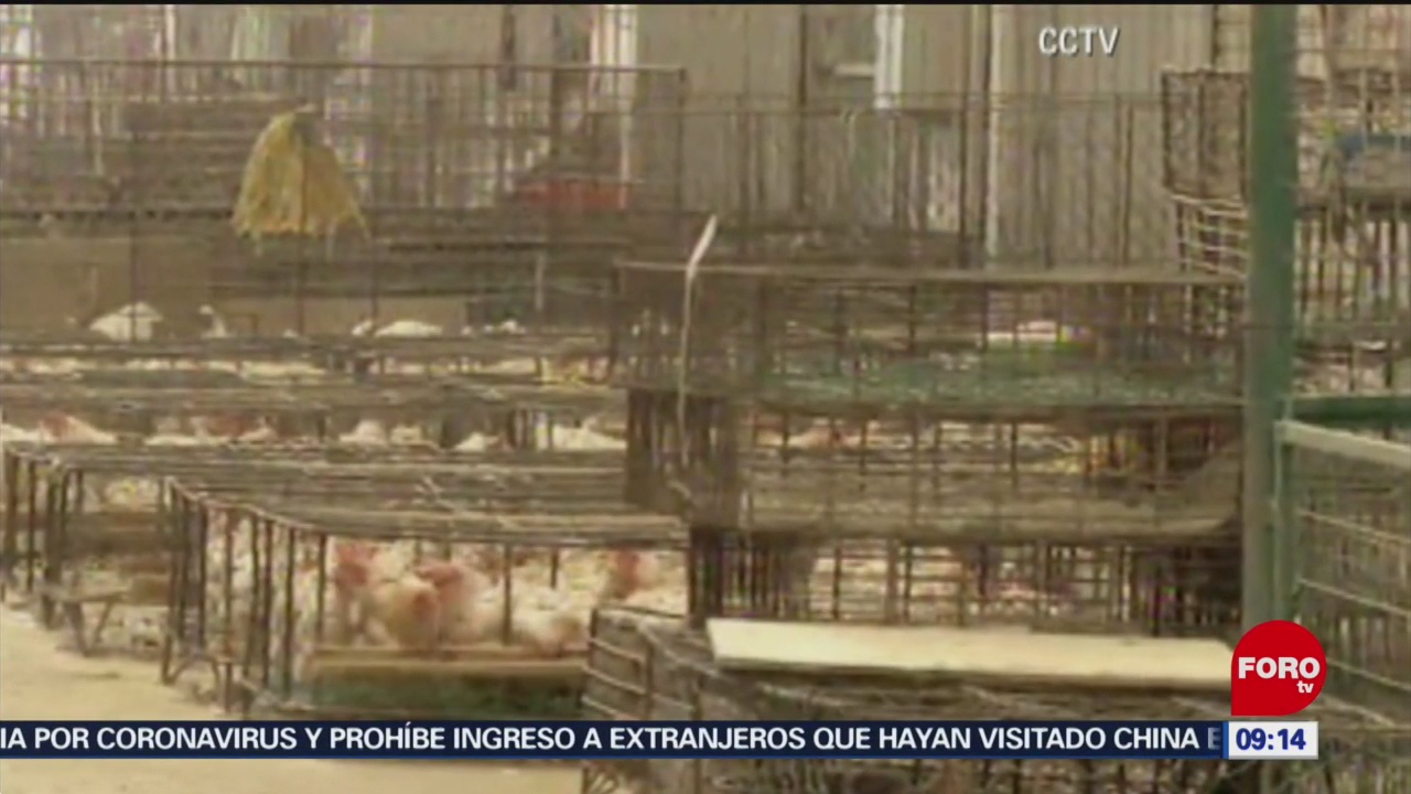 FOTO: 2 Febrero 2020, reportan brote de gripe aviar en china